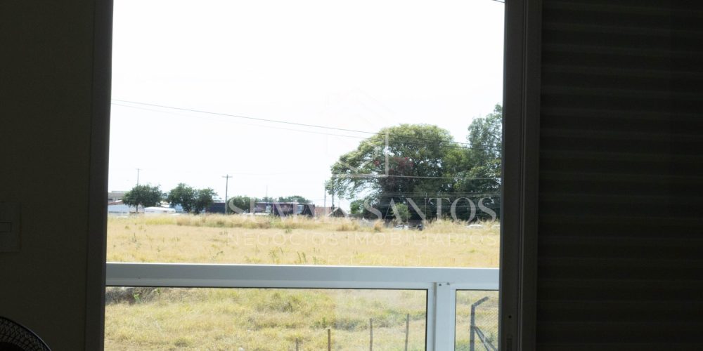 Fernanda Neves (119)