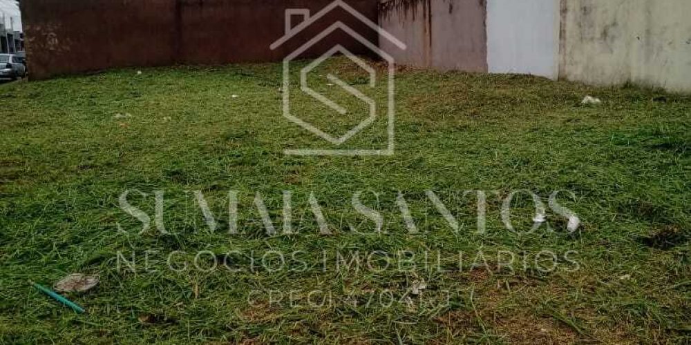 WhatsApp Image 2025-08-05 at 10.08.06 (2)