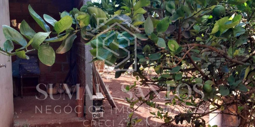 WhatsApp Image 2025-08-07 at 15.45.17