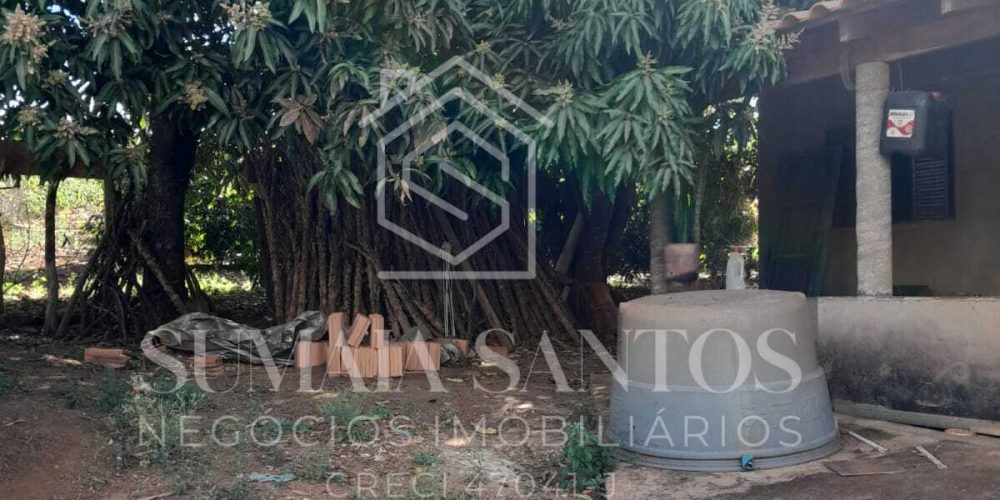 WhatsApp Image 2025-08-07 at 15.45.39 (1)