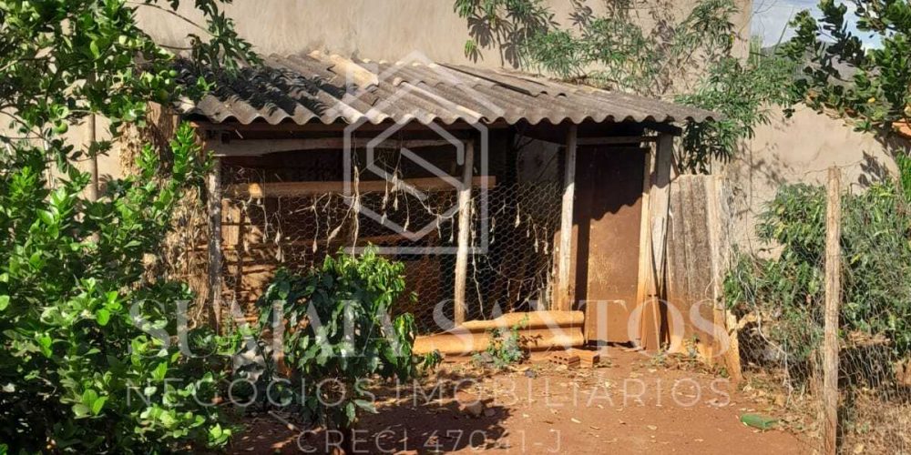 WhatsApp Image 2025-08-07 at 15.45.39 (2)