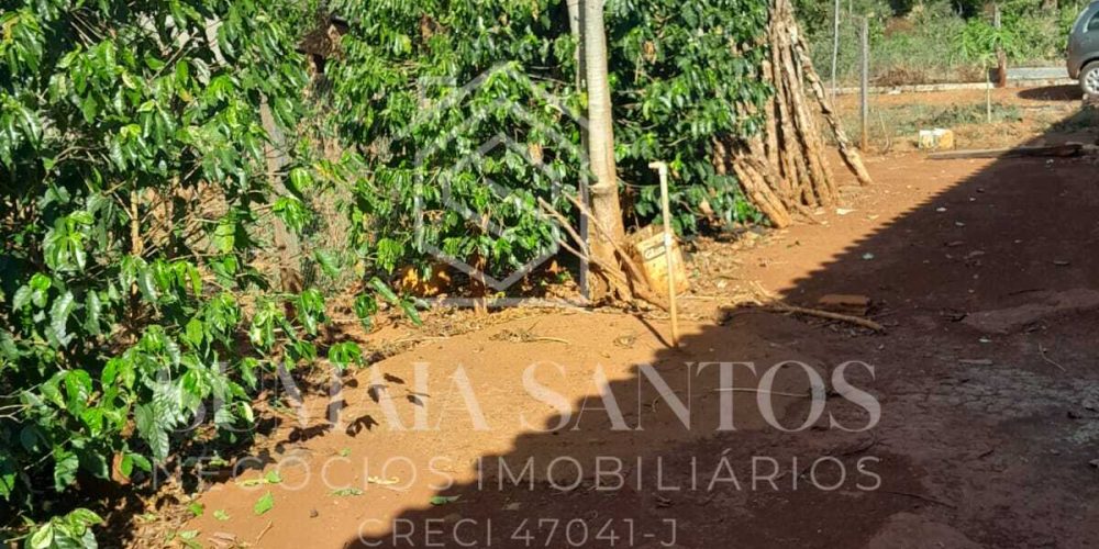 WhatsApp Image 2025-08-07 at 15.45.39 (3)