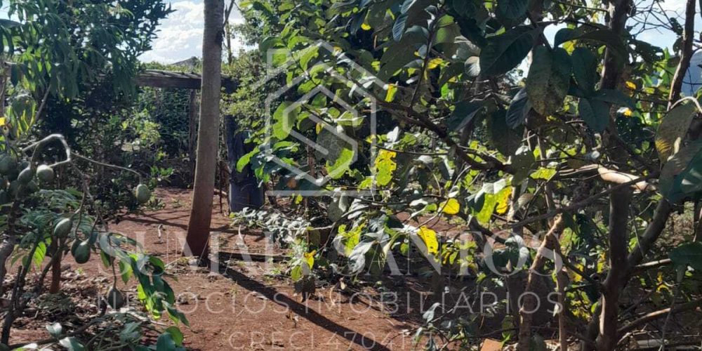 WhatsApp Image 2025-08-07 at 15.45.40 (1)