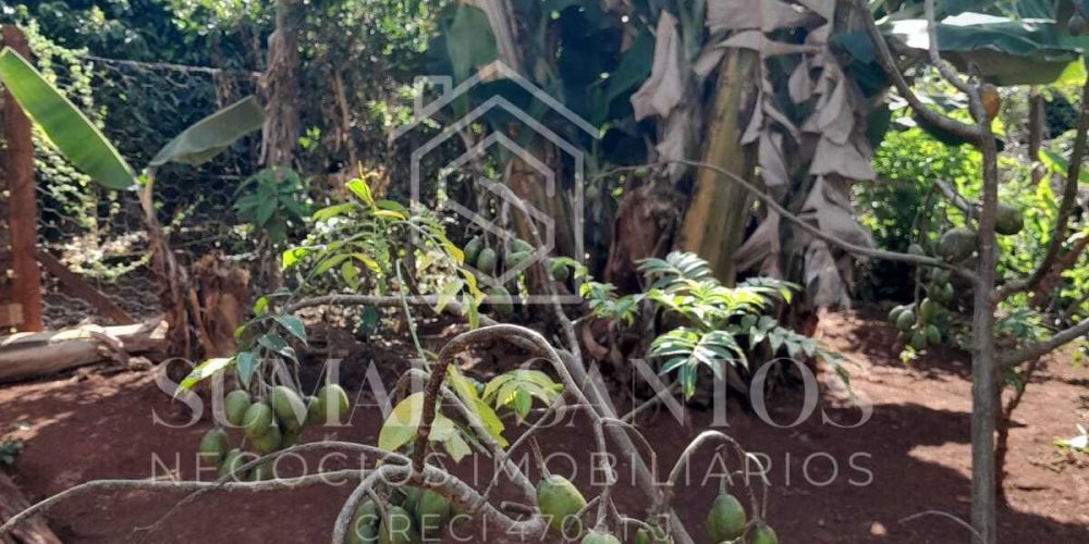 WhatsApp Image 2025-08-07 at 15.45.40