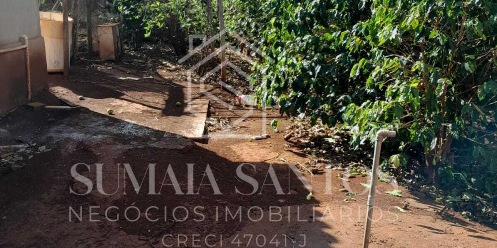 WhatsApp Image 2025-08-07 at 15.45.41