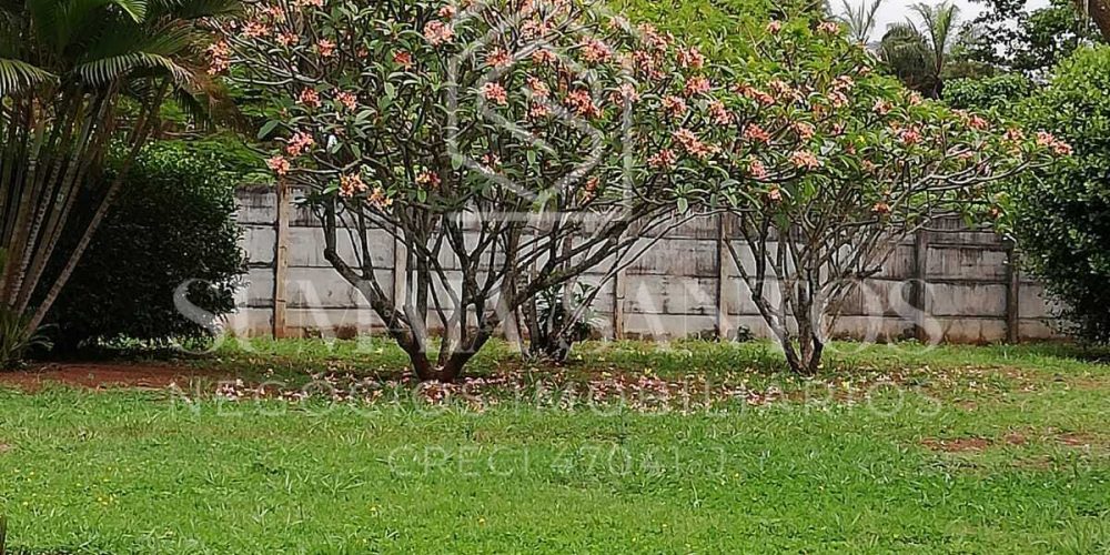 WhatsApp Image 2025-08-18 at 15.05.52 (1)