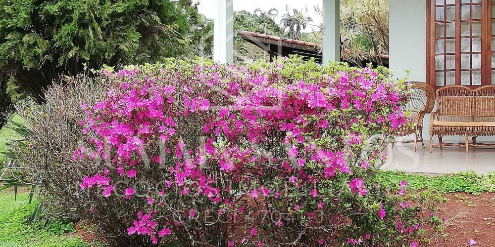 WhatsApp Image 2025-08-18 at 15.05.52