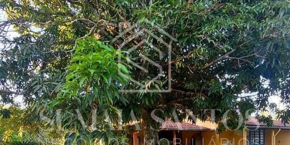 WhatsApp Image 2025-08-19 at 16.40.14