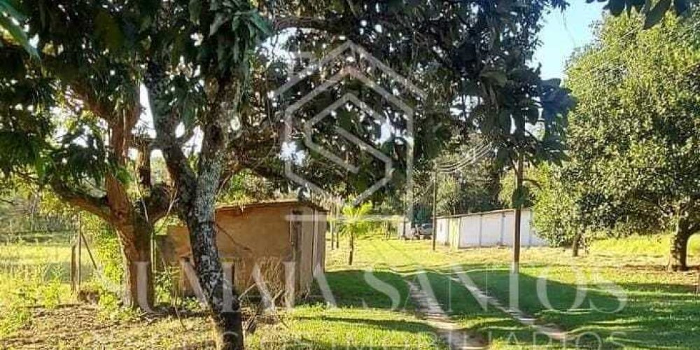 WhatsApp Image 2025-08-19 at 16.40.28