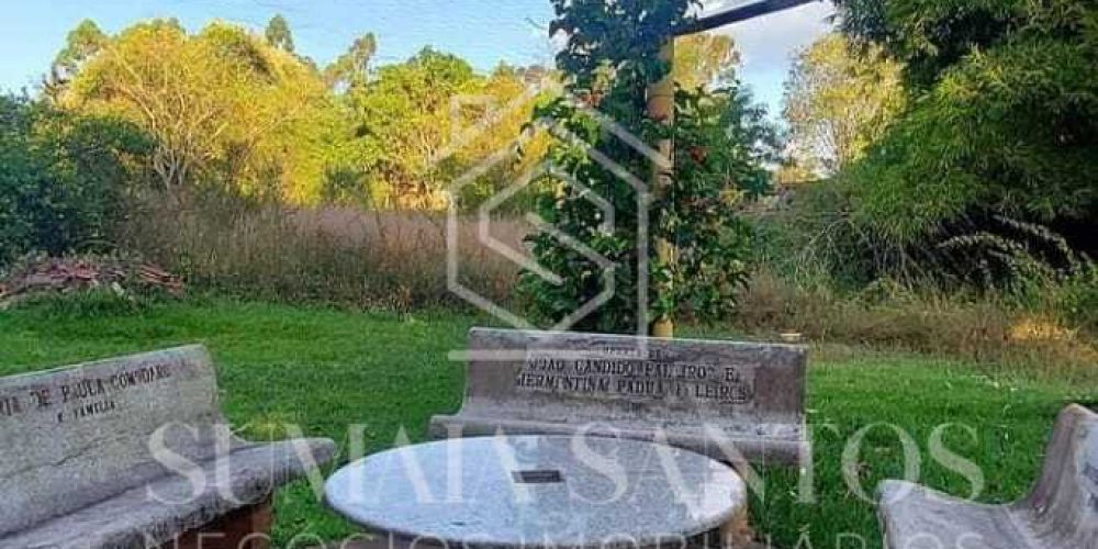 WhatsApp Image 2025-08-19 at 16.40.44