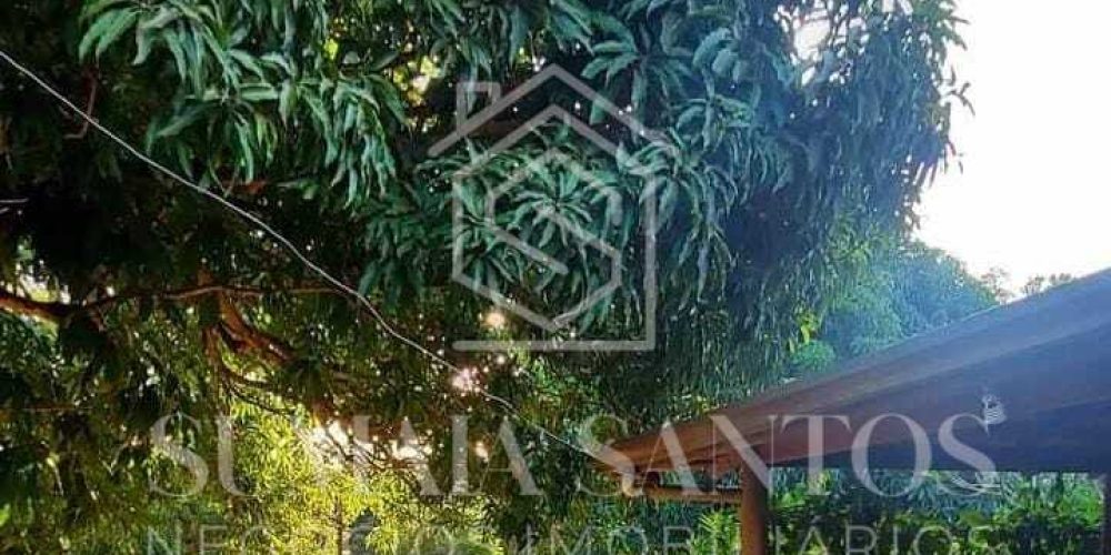 WhatsApp Image 2025-08-19 at 16.41.41