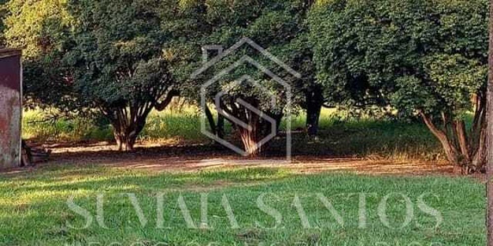 WhatsApp Image 2025-08-19 at 16.42.29