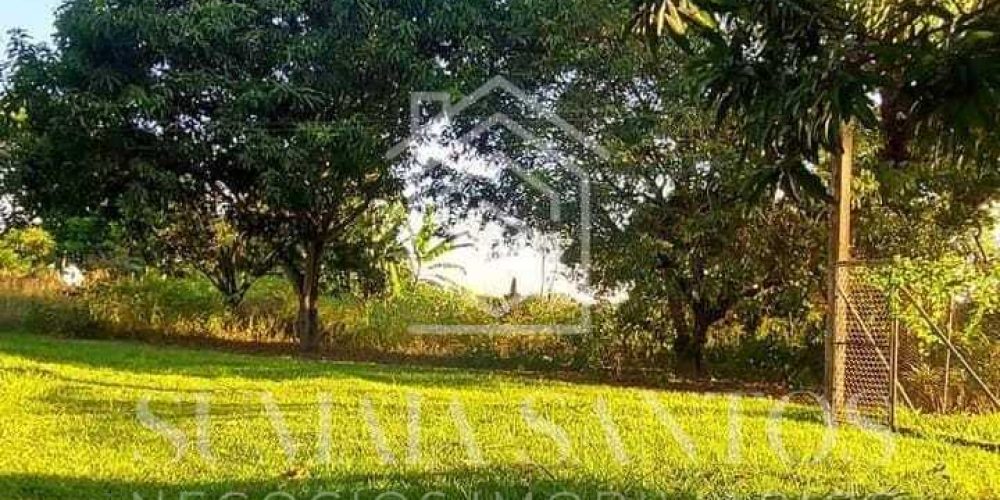 WhatsApp Image 2025-08-19 at 16.42.43