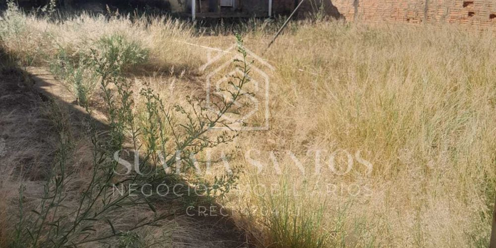 WhatsApp Image 2025-08-29 at 15.27.14