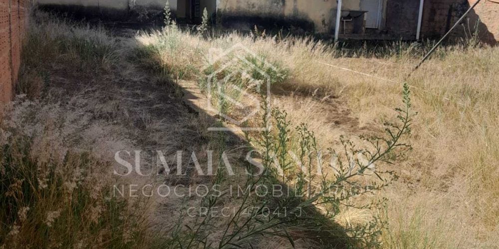 WhatsApp Image 2025-08-29 at 15.27.16