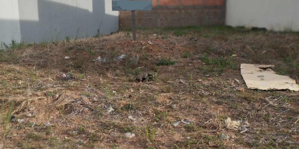 WhatsApp Image 2025-10-22 at 17.23.16