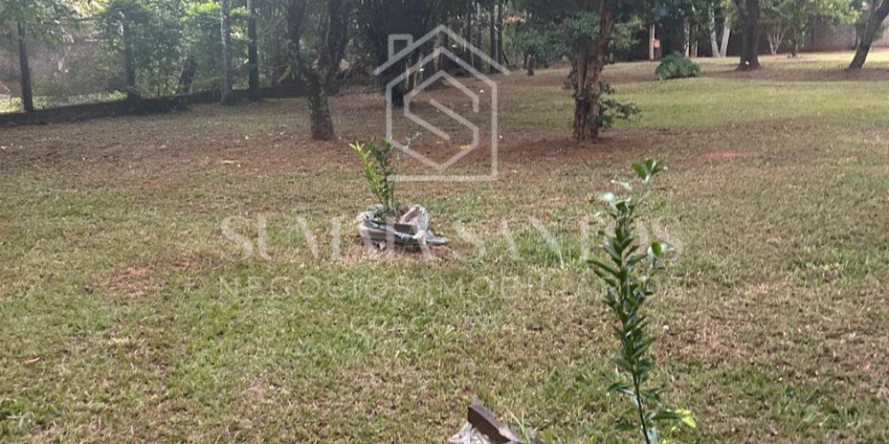 WhatsApp Image 2025-10-29 at 10.36.26 (1)