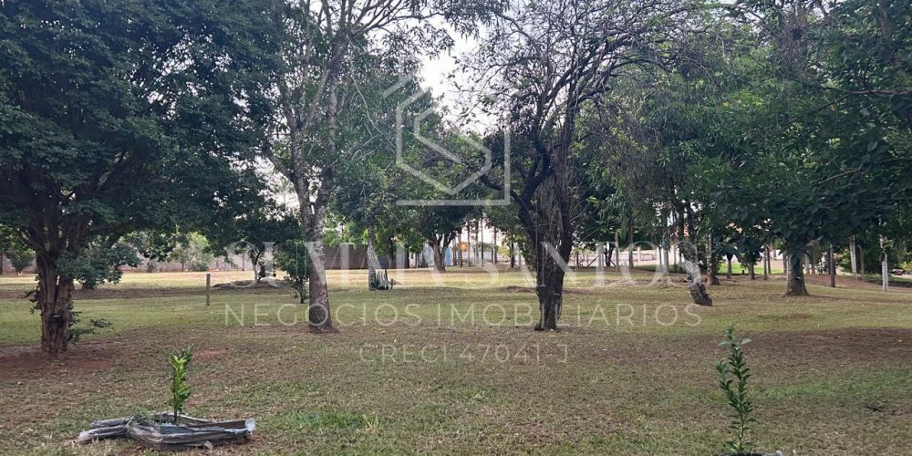 WhatsApp Image 2025-10-29 at 10.36.26 (2)