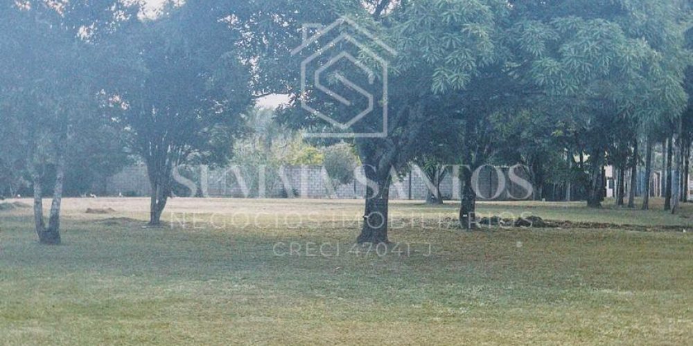 WhatsApp Image 2025-10-29 at 10.36.26