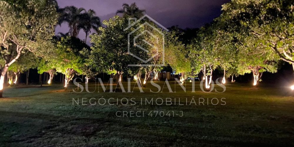 WhatsApp Image 2025-10-29 at 10.36.28