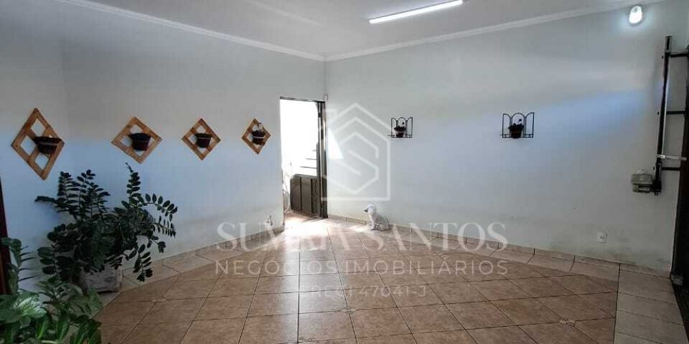 WhatsApp Image 2026-01-29 at 13.31.43