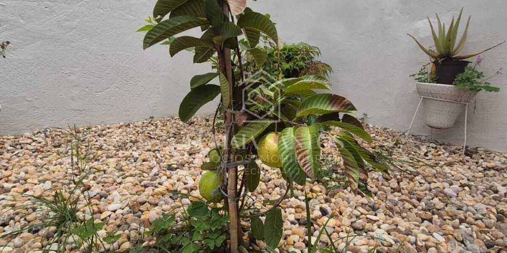 WhatsApp Image 2026-03-17 at 13.19.08 (2)