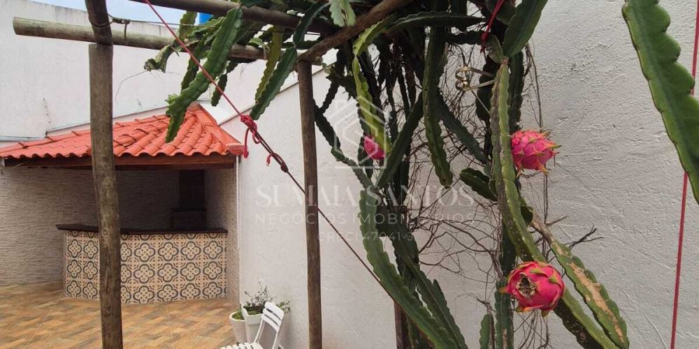 WhatsApp Image 2026-03-17 at 13.19.09 (1)