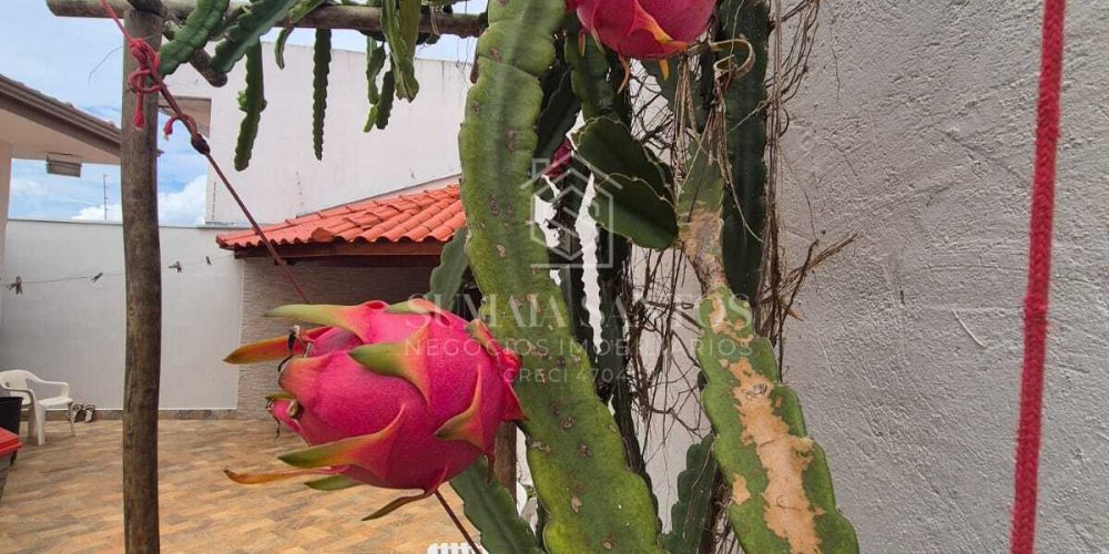 WhatsApp Image 2026-03-17 at 13.19.09 (2)