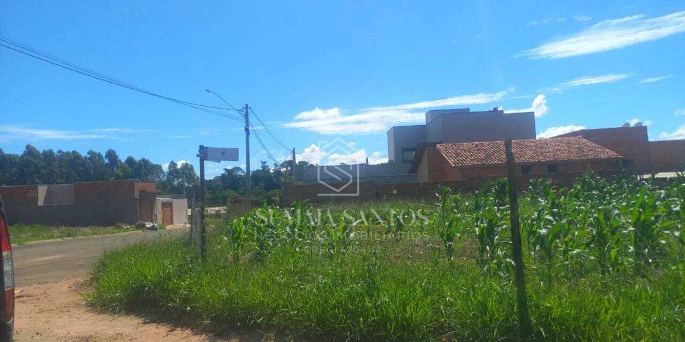 WhatsApp Image 2026-04-10 at 14.08.20