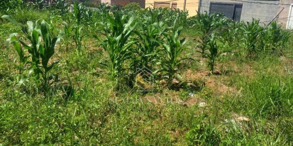 WhatsApp Image 2026-04-10 at 14.08.21 (2)