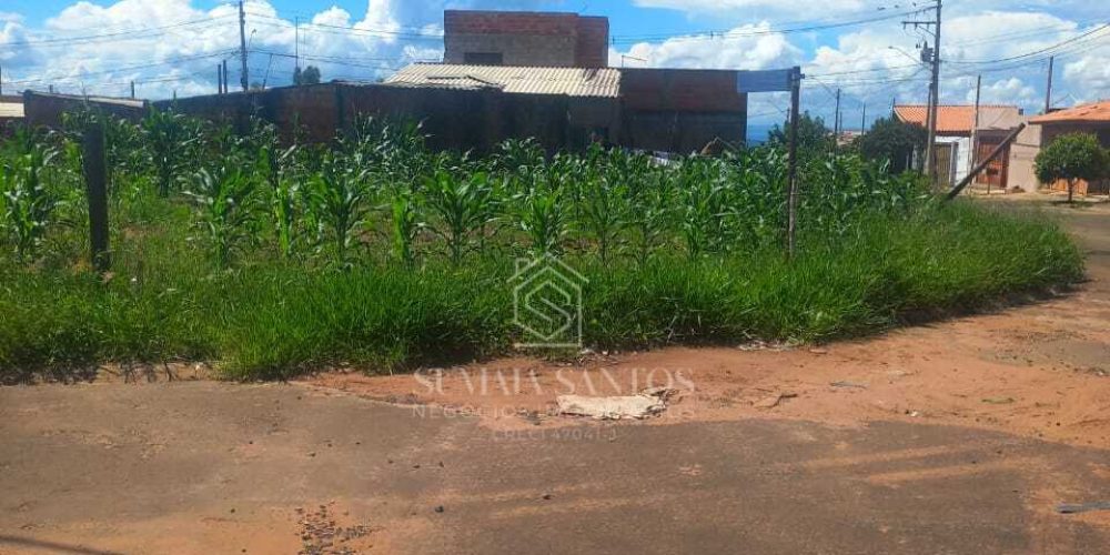 WhatsApp Image 2026-04-10 at 14.08.21