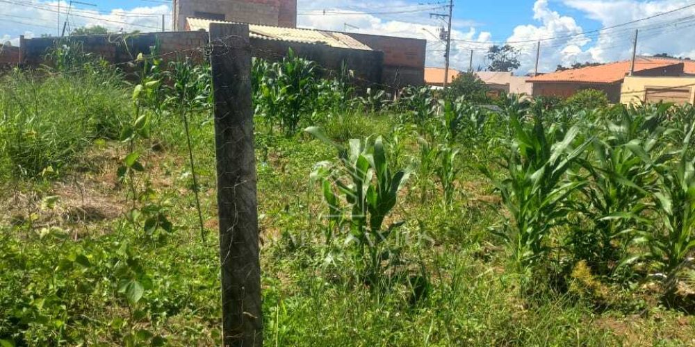 WhatsApp Image 2026-04-10 at 14.08.22